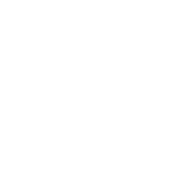 gadg-it