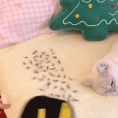 Cat Hair Remover Mitt