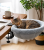PurrPod